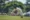 Best Betting App Cricket