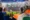 Which Is Best Cricket Betting App